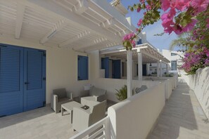 Terraza o patio