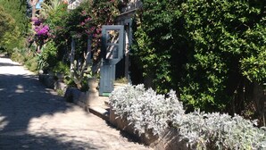 A stone building with a garden entrance, steps leading to a door, and lush greenery around. - Fox Apartments (Konavle)