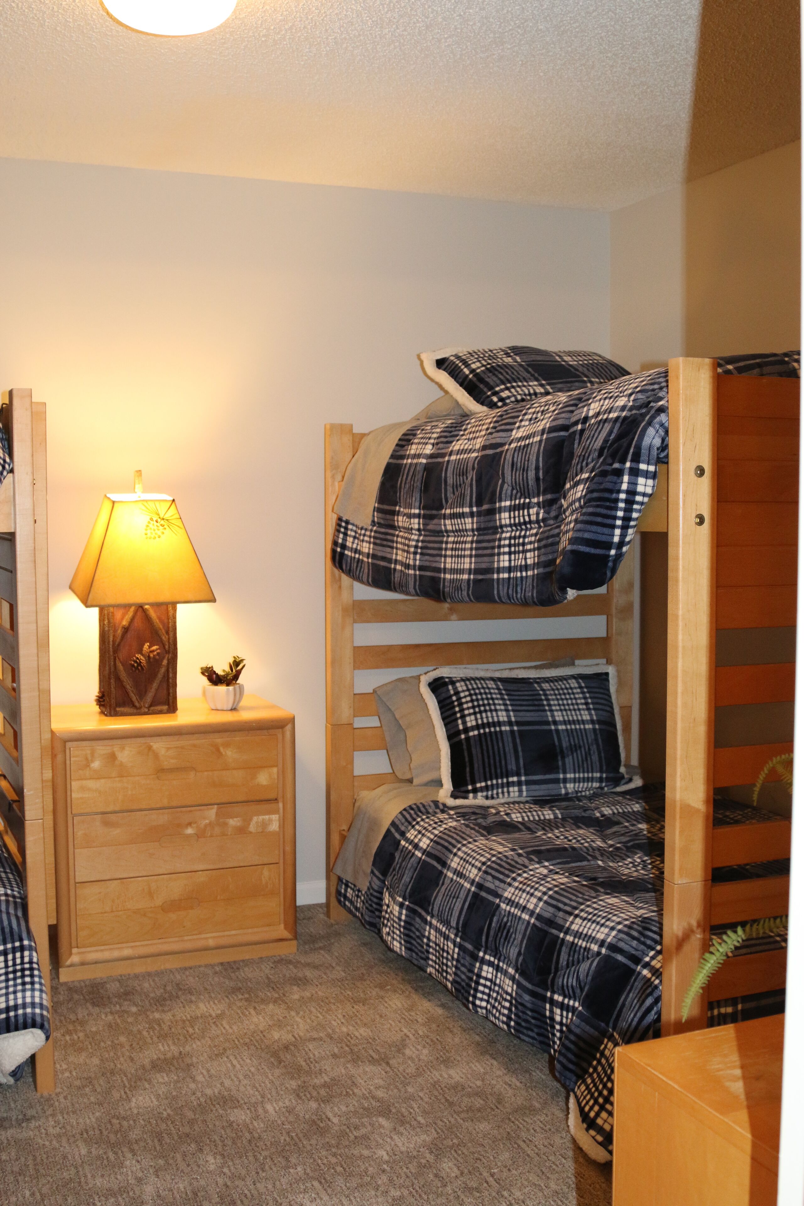 A bunk bed with plaid bedding, a bedside lamp, and a small plant on a wooden nightstand.