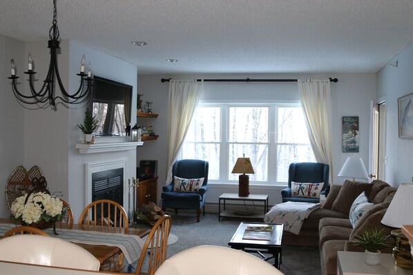 TV, fireplace, books, stereo