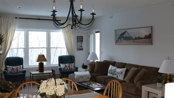 Télévision, cheminée, livres, chaßne hi-fi