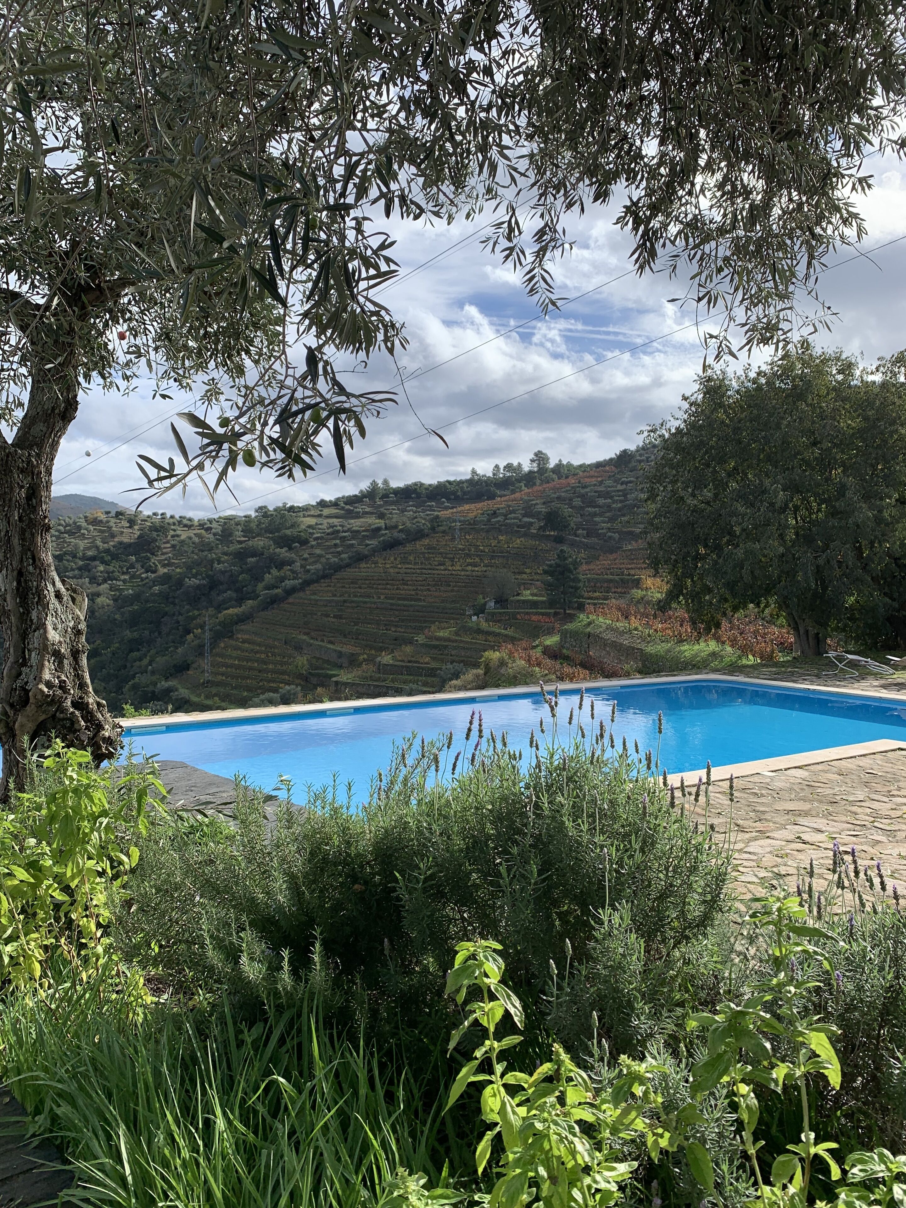 Piscina externa