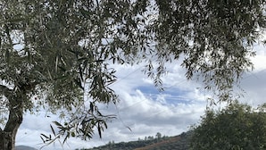 Una piscina immersa nel verde lussureggiante con uno sfondo collinare.