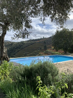 Alberca al aire libre 