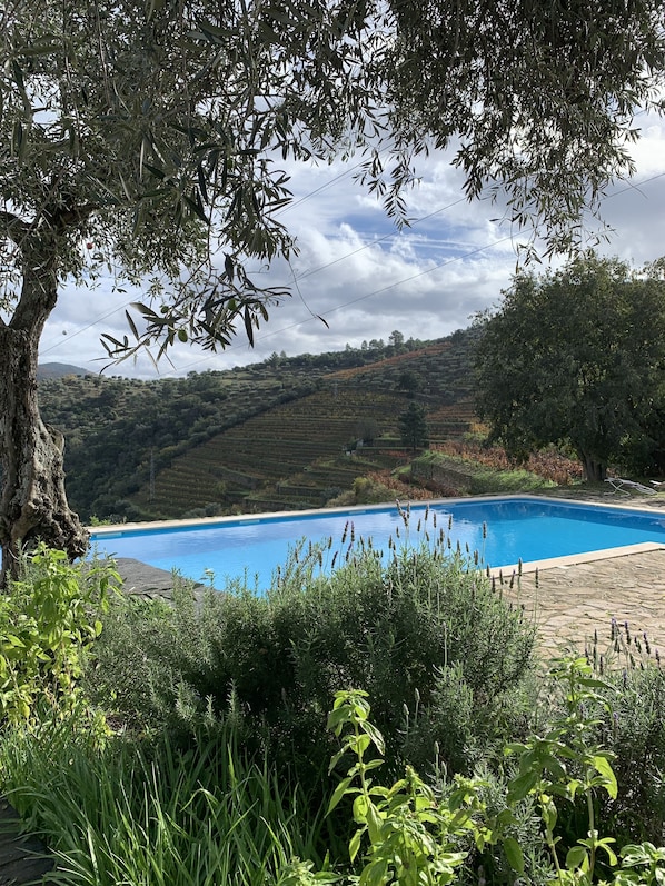 Una piscina rodeada de exuberante vegetación y un paisaje montañoso.
