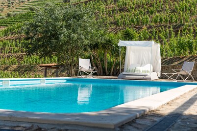 Impresionante viñedo aislado con piscina en el corazón de la región del puerto del Duero.
