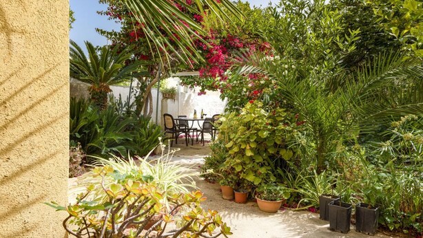 Ein Garten mit unterschiedlichen Pflanzen und einem Tisch mit Stühlen.
