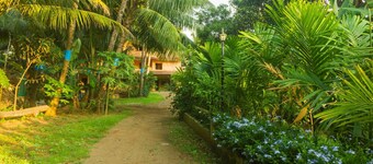 OYO 18832 Sukhakarta Weekends