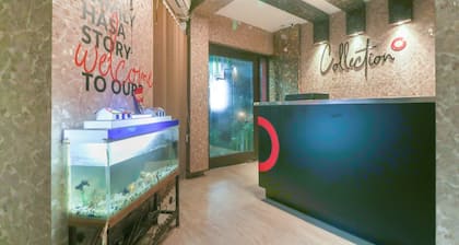 Collection O 46380 Near Subhash Chauraha