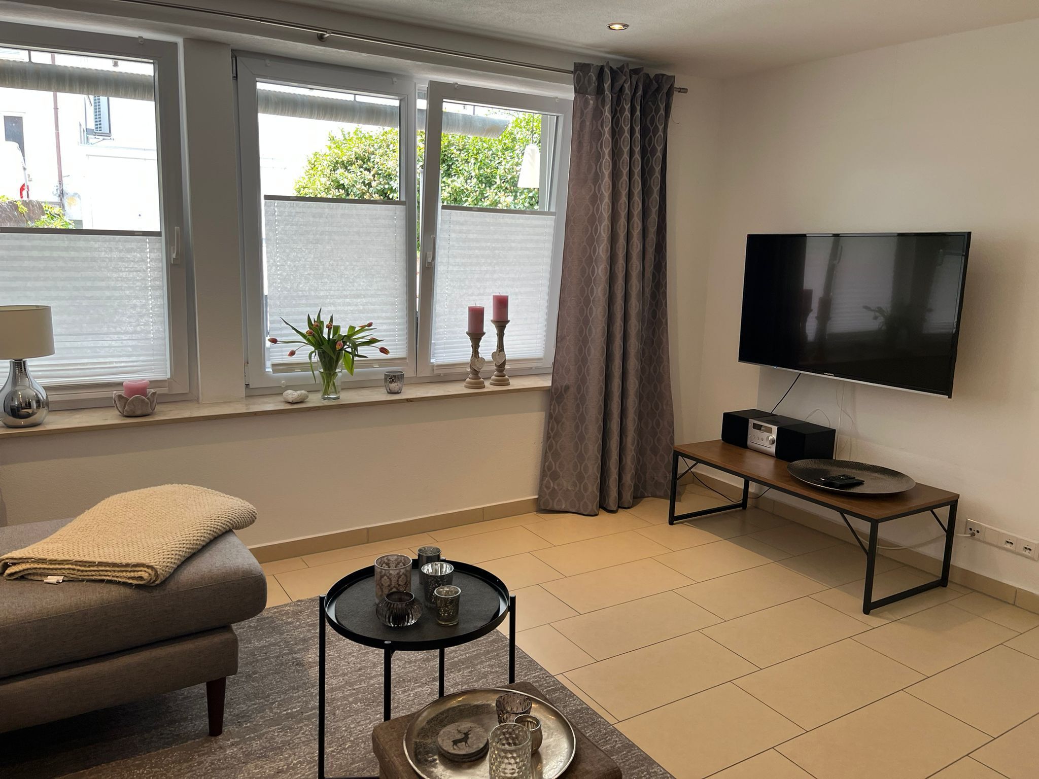 Smart TV, DVD player, books, stereo