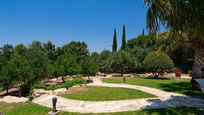 A landscaped garden with a stone pathway, various trees, and a palm tree. - Villa 148 Lofou - Four Bedroom Villa, Sleeps 8 (Kouklia)