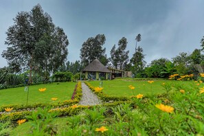 Luxury Twin Room | Egyptian cotton sheets, premium bedding, down comforters, pillowtop beds - Amakoro Songa Lodge (Nyange)