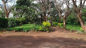 Uma trilha de terra serpenteia por uma área verde e exuberante, com árvores e arbustos.