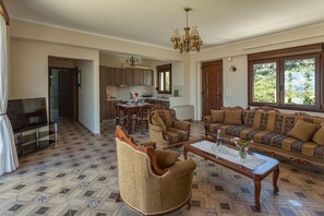 ヴィラ プールアクセス マウンテンビュー (Orange) | リビング エリア | 薄型テレビ