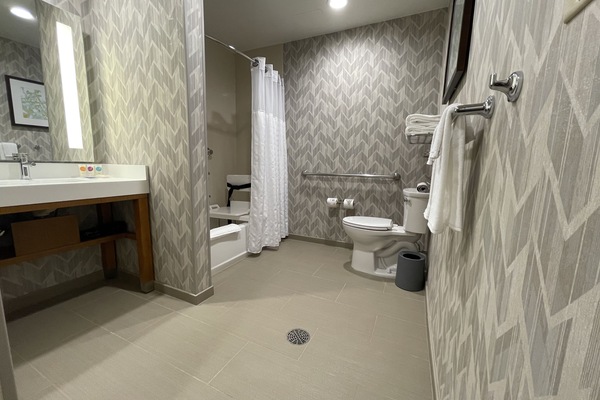 Room, 1 King Bed with Sofa bed, Accessible, Bathtub | Bathroom
