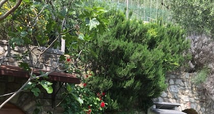 Villa Stefano lake view