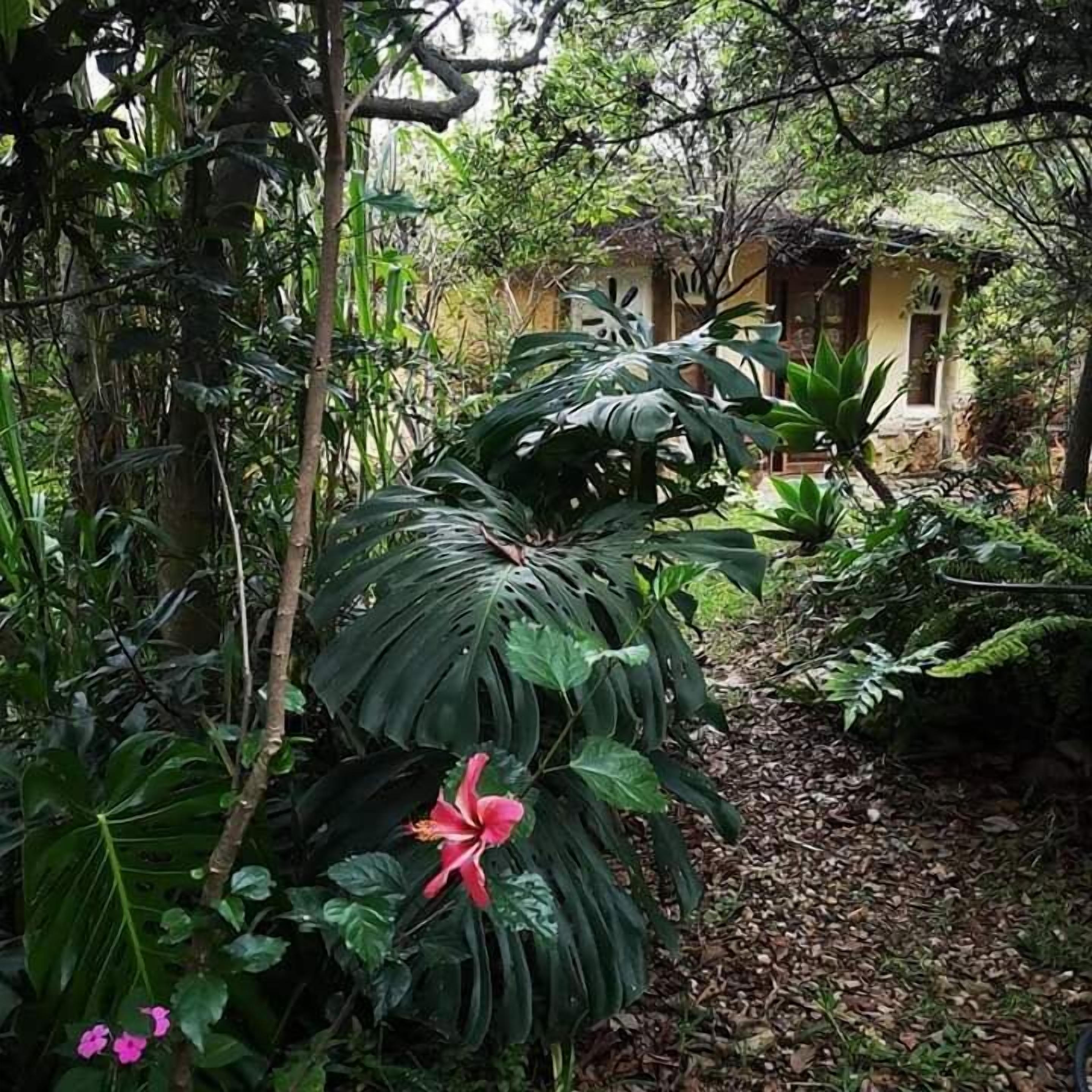 Design fyrbäddsrum | Allergitestade sängkläder, duntäcken och individuell inredning