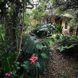 Design Quadruple Room