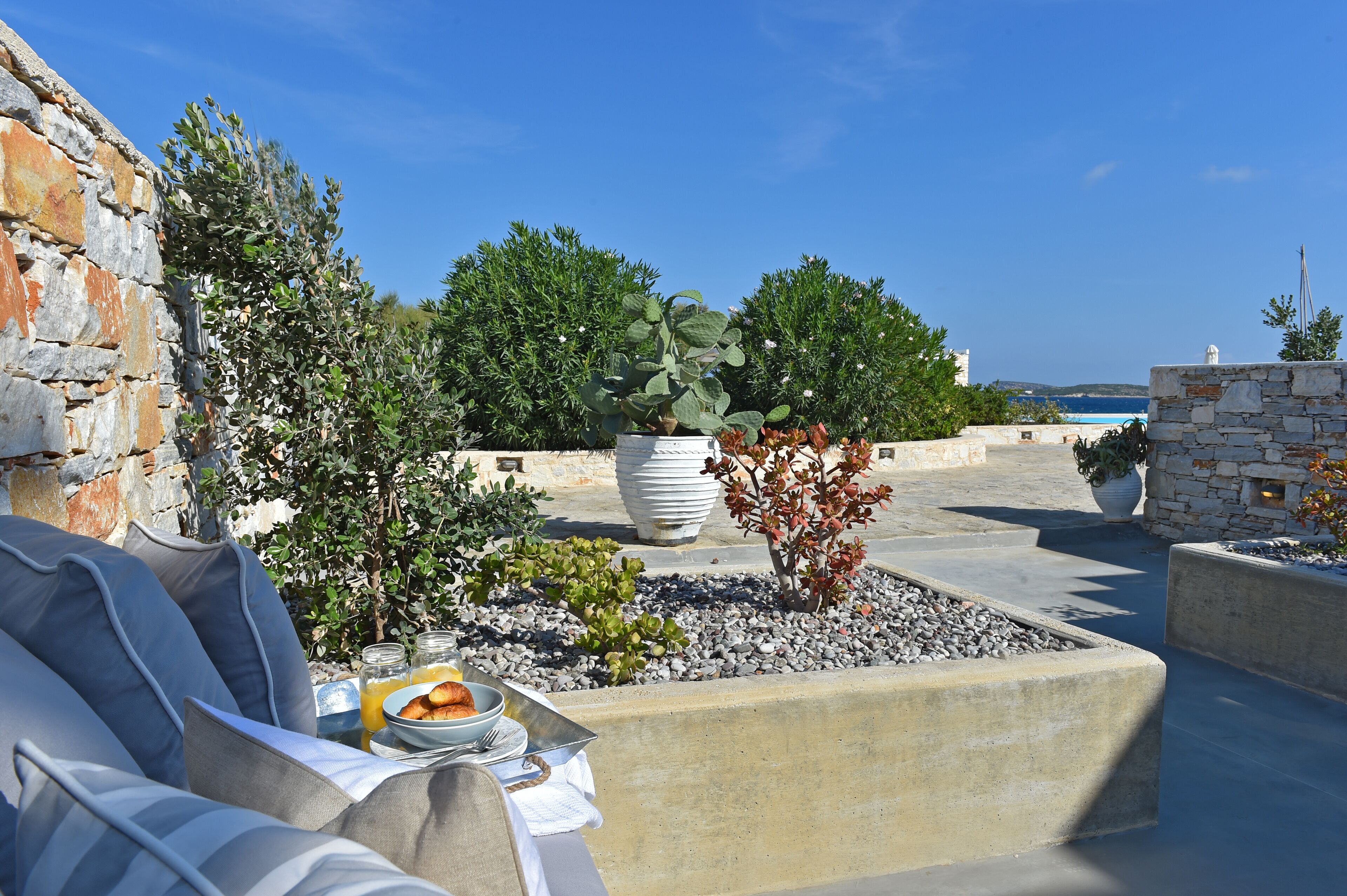 A rooftop terrace with a stone wall, a large potted plant, and a dining setup with a bowl of fruit and a glass of orange juice.