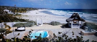 THE ULTIMATE LUXURY BOTANICAL FAMILY ESTATE VERY LARGE 3,480 SQFT ON THE BEACH!!