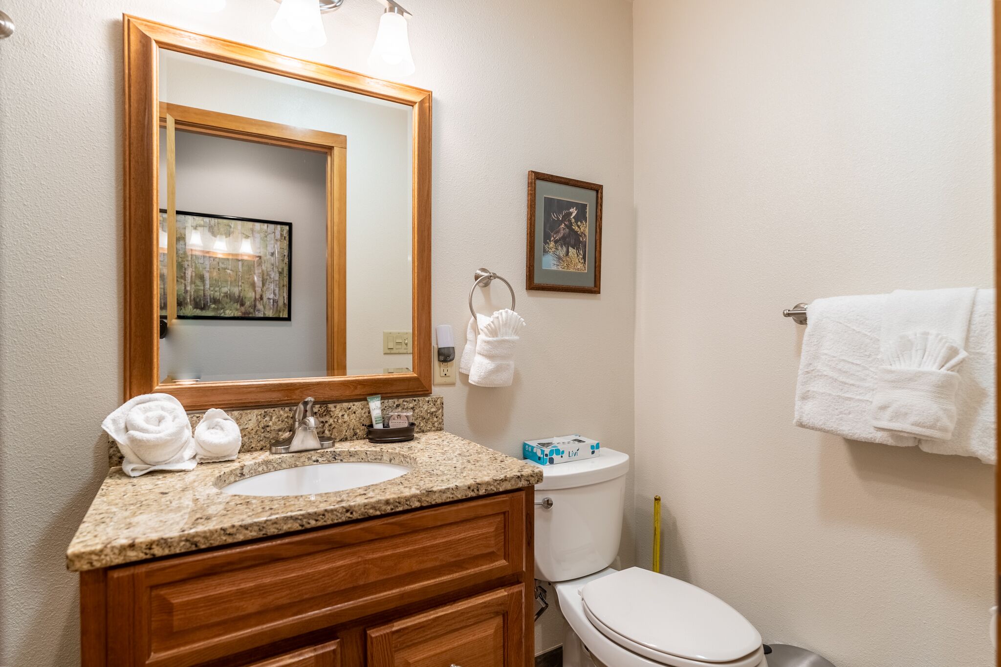 A bathroom with a granite countertop sink, wooden vanity, a large mirror, a framed picture on the wall, and a toilet with a towel hanging on the wall.