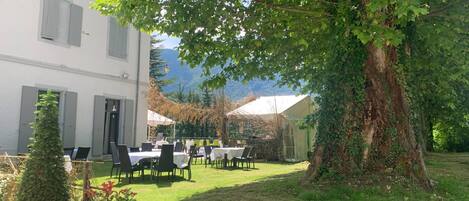 A courtyard with outdoor seating, a large tree, and a building with windows.