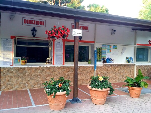 A reception area with a sign indicating the direction to the reception, a window with a view of the street, and potted plants in front. - Camping Dal Pino (Massa)