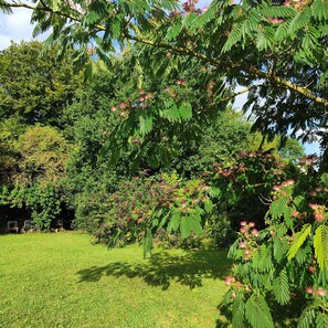 Jardines del alojamiento