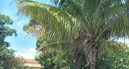 House with pool in the Lagos region 900 meters from Barbudo beach