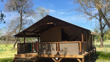 Tent (Lodge Kenya) | Individueel gedecoreerd, individueel gemeubileerd, gratis babybedden