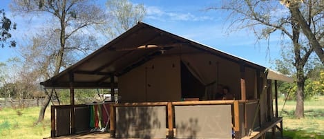 Tent (Lodge Kenya) | 3 bedrooms, individually decorated, individually furnished