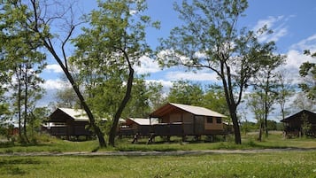 Tent (Lodge Victoria) | 3 bedrooms, individually decorated, individually furnished