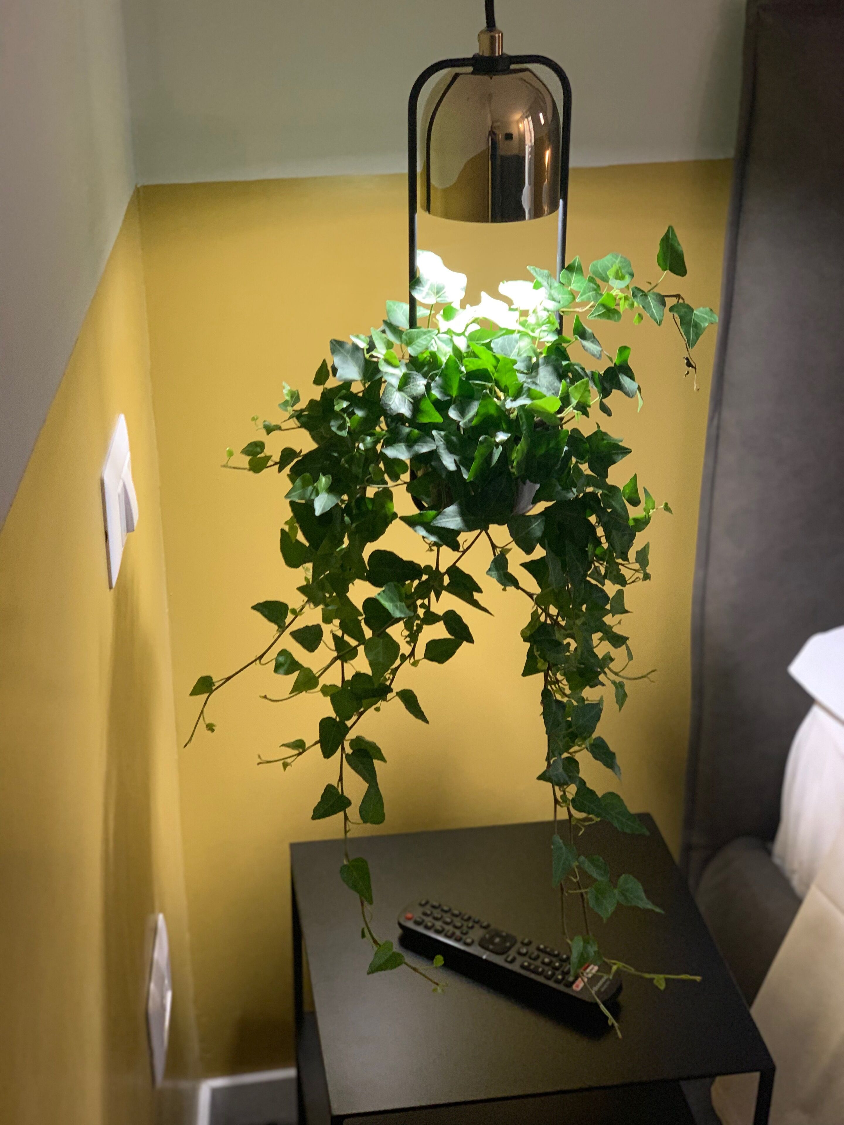 Foto - Cavour Urban Rooms by GHOR