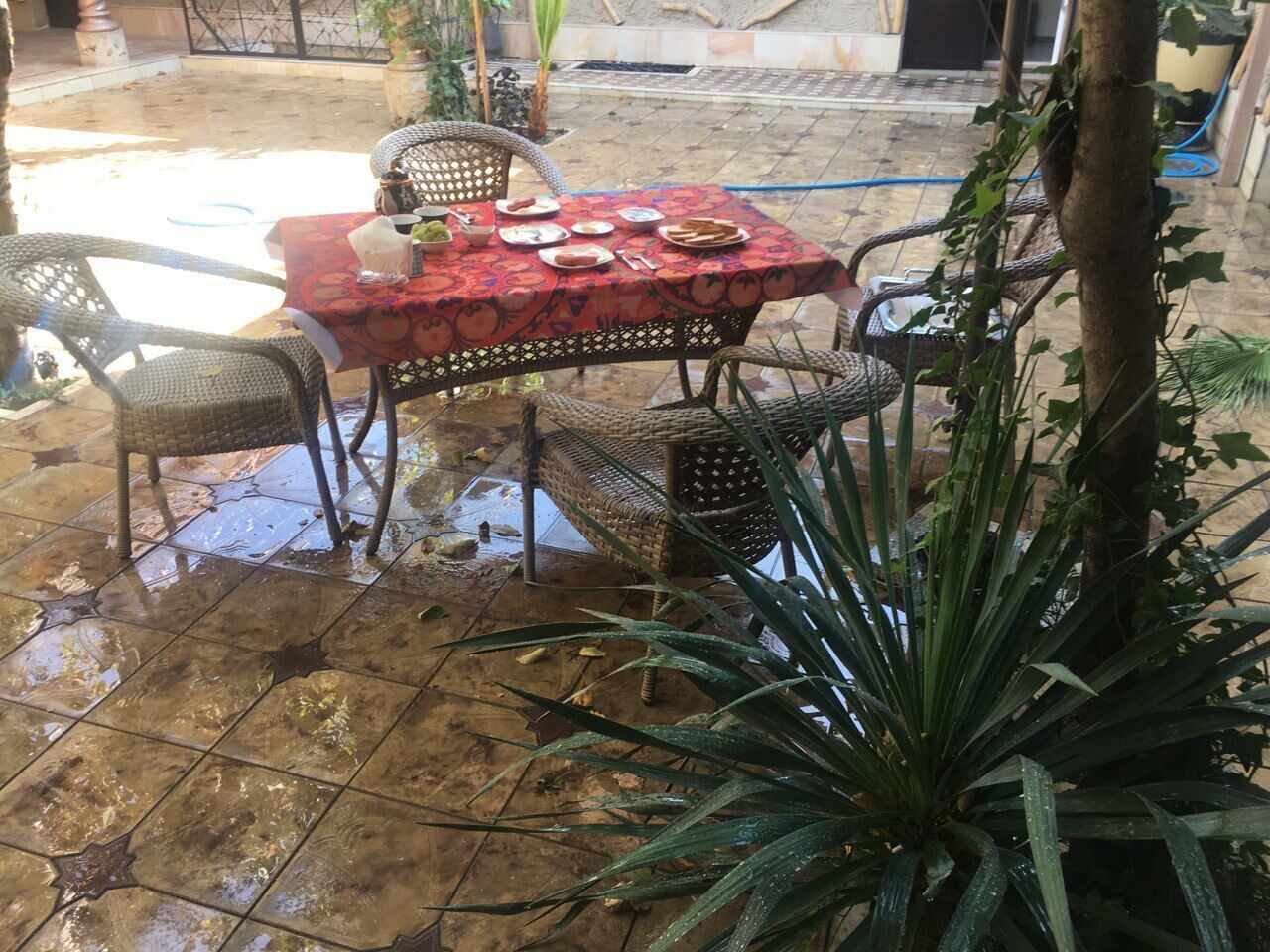 Foto - "S e a s o n S"