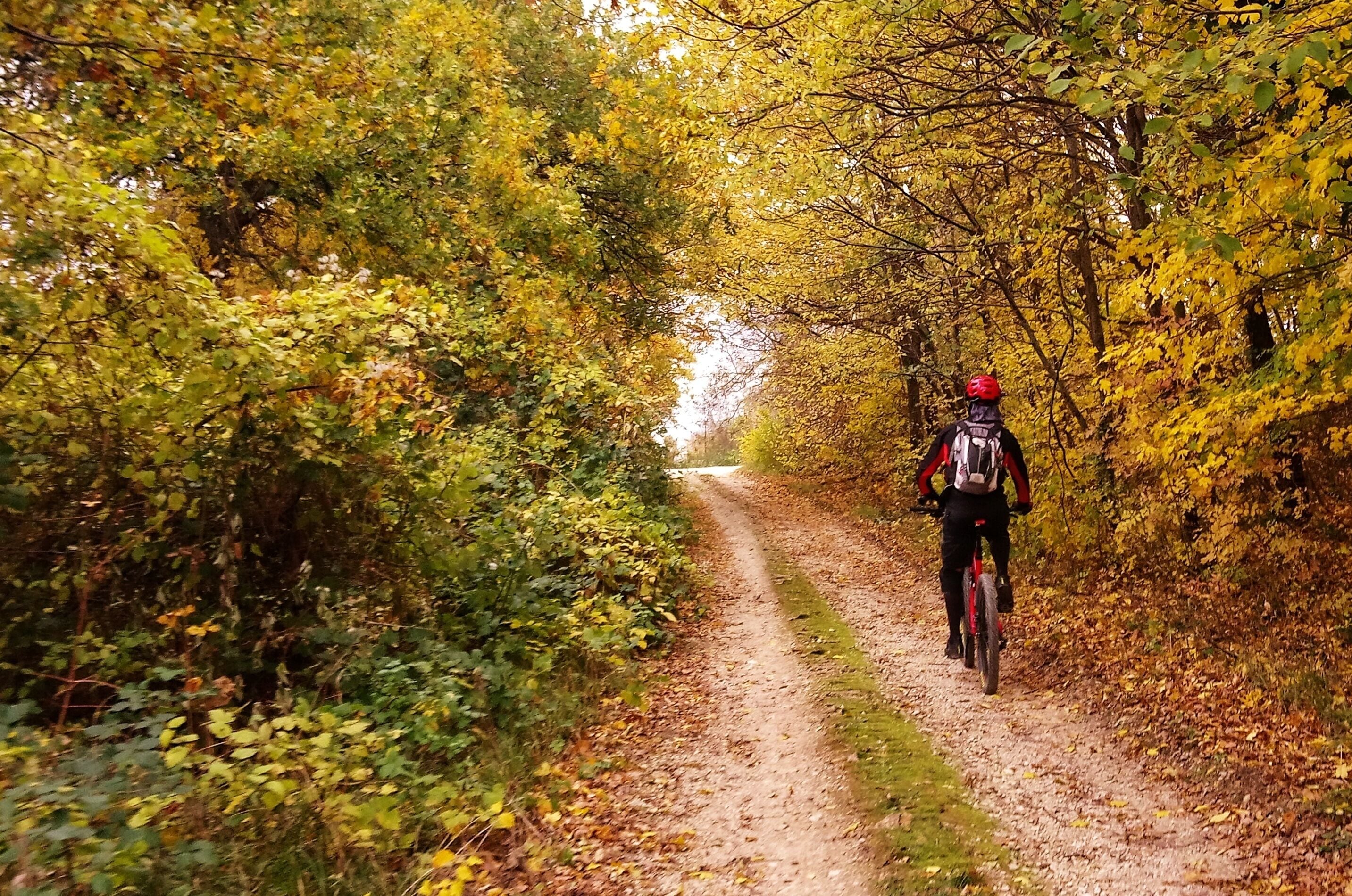 Ciclista em trilha de terra cercada por vegetação densa.