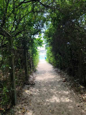 A narrow dirt path flanked by dense foliage, leading to a distant structure. - Pé na Areia (Porto Seguro)