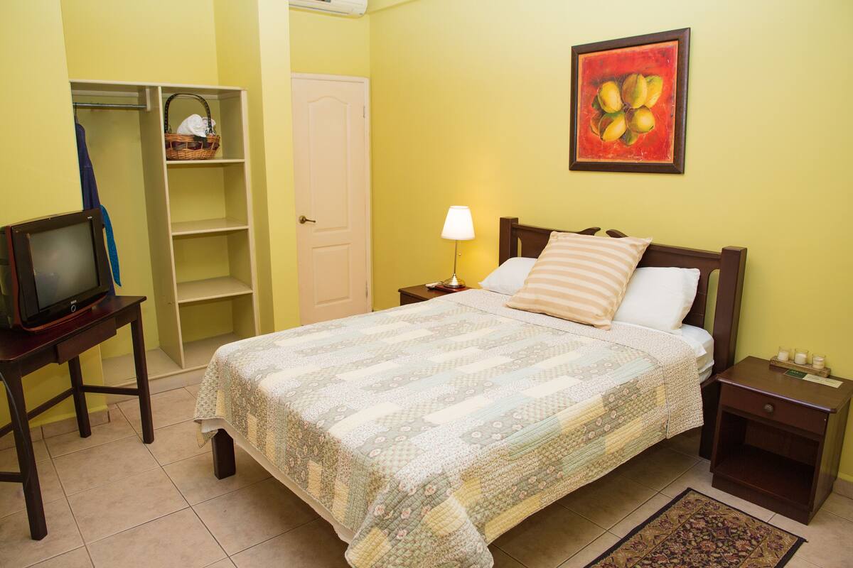 Un dormitorio con cama, mesita de noche, televisor sobre un mueble bajo, armario y un cuadro en la pared.