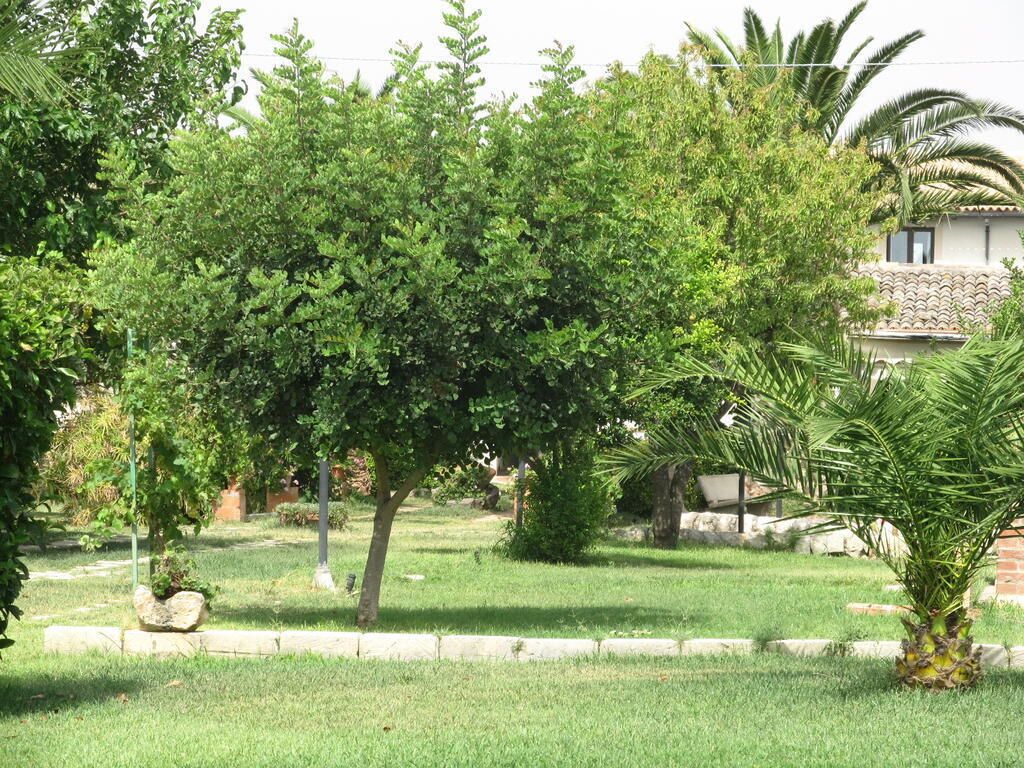 Taman