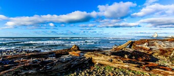 Dog-friendly house near the beach with spectacular views and pool table