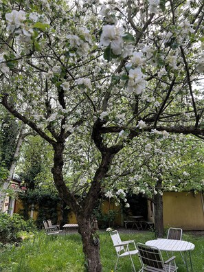 テラス / パティオ