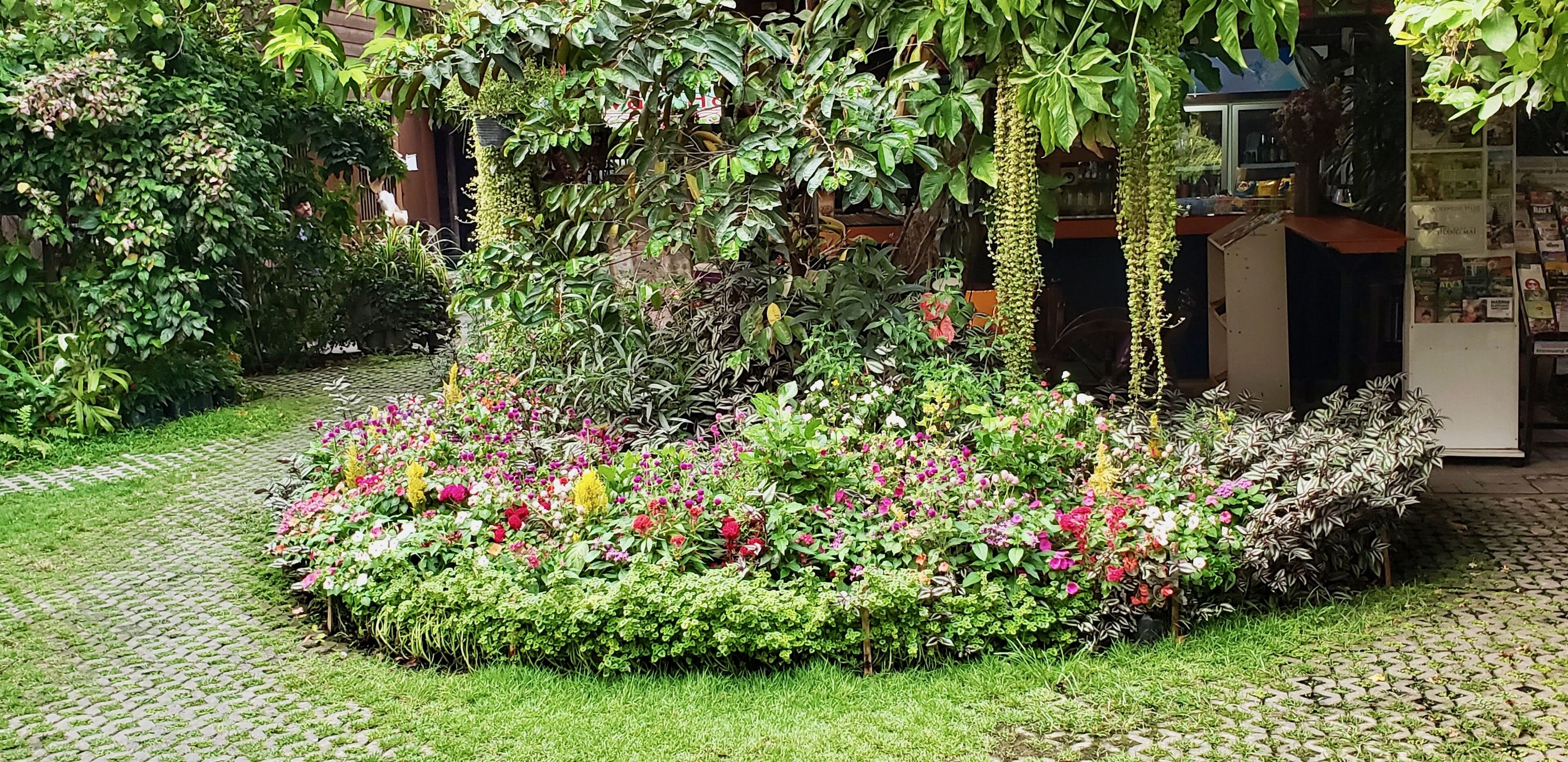 A garden with a variety of plants and flowers, a paved walkway, and a structure with bookshelves.