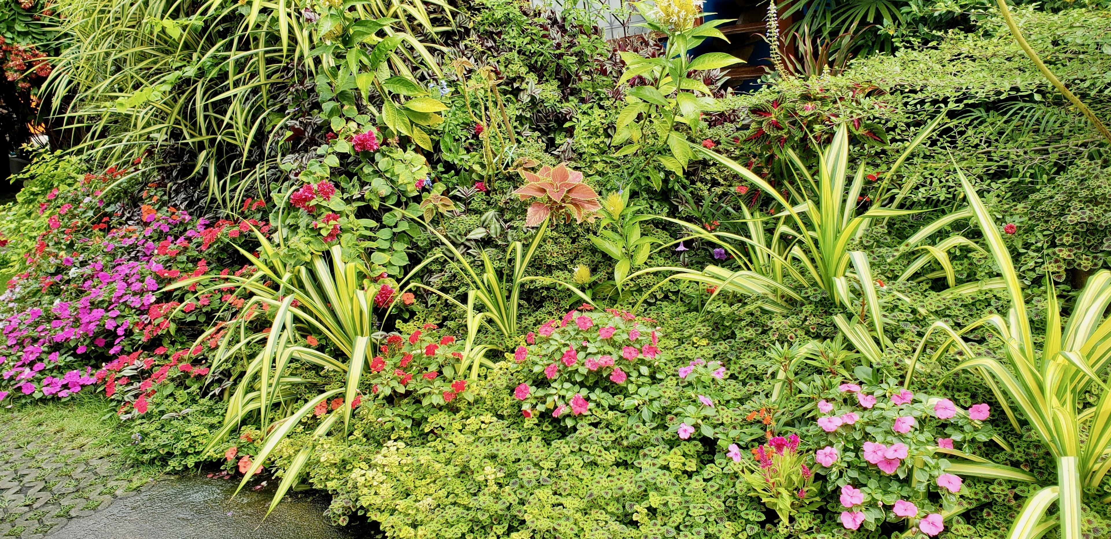 A lush garden with various plants and flowers, including pink and red blooms, and green foliage.