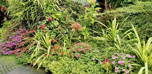 Garden - Siriwan House (Chiang Mai)