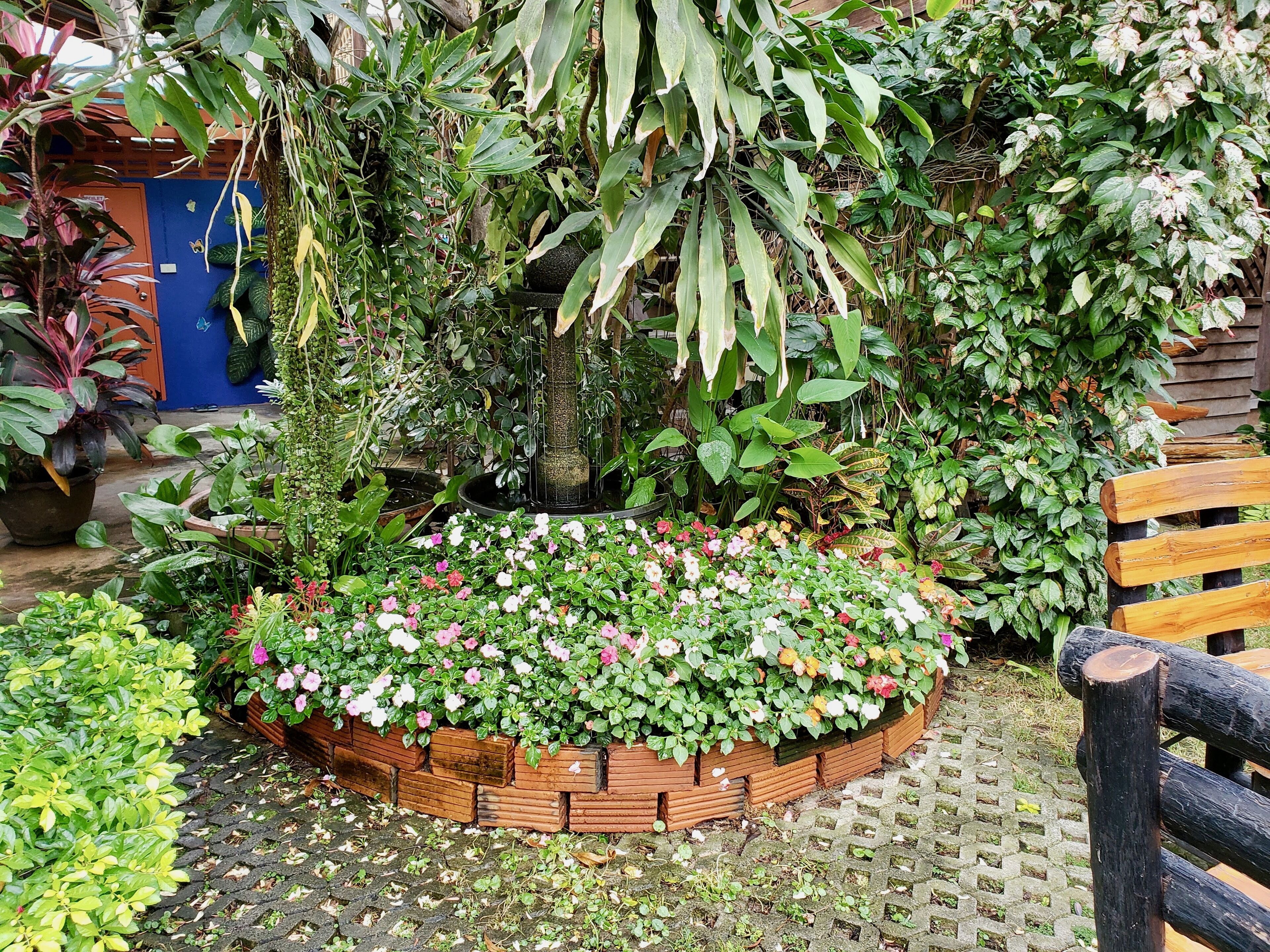 A garden with a wooden bench, a fountain, and various plants.