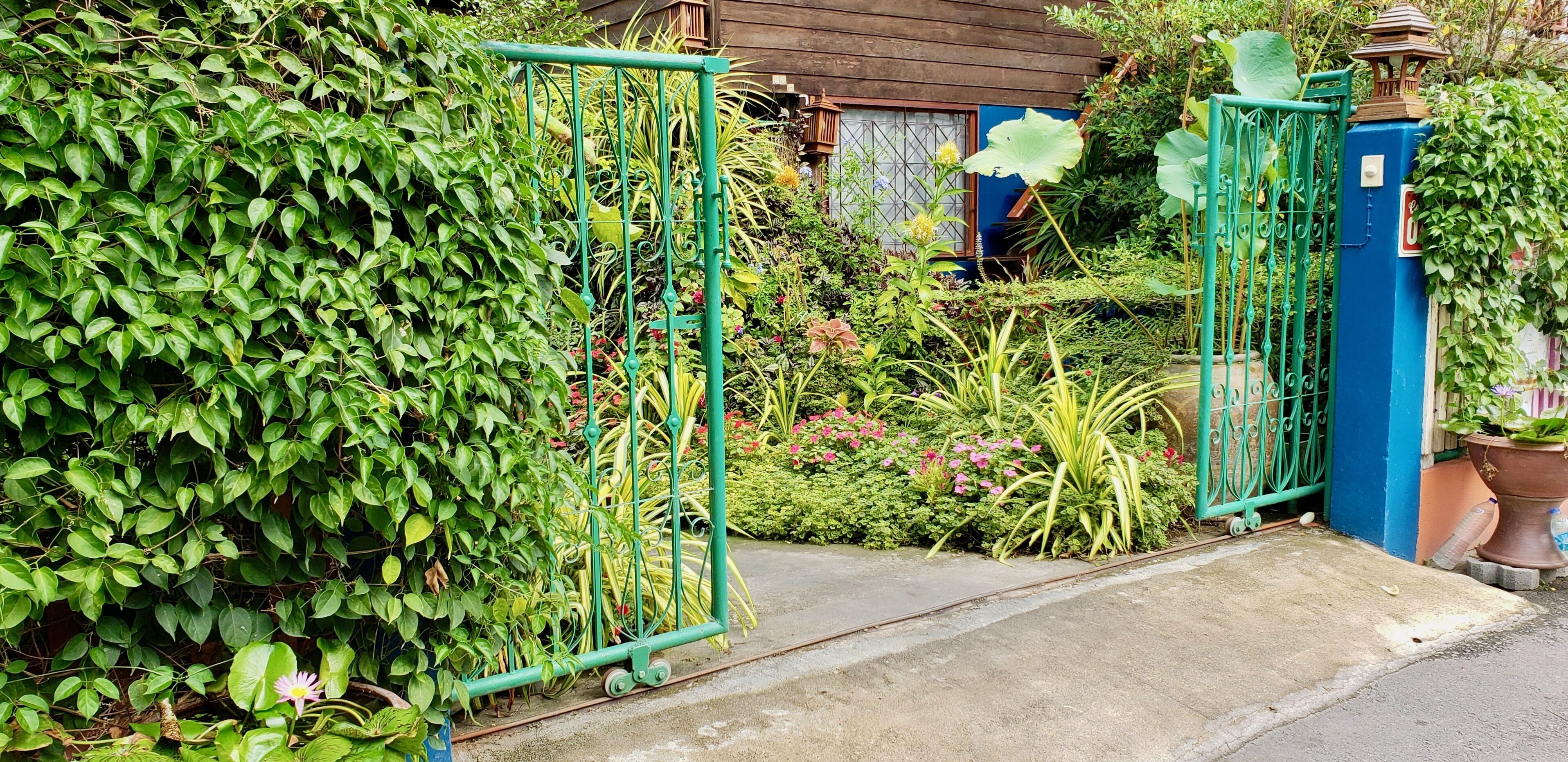 Een tuin met een metalen poort, weelderige begroeiing en verschillende planten en bloemen.