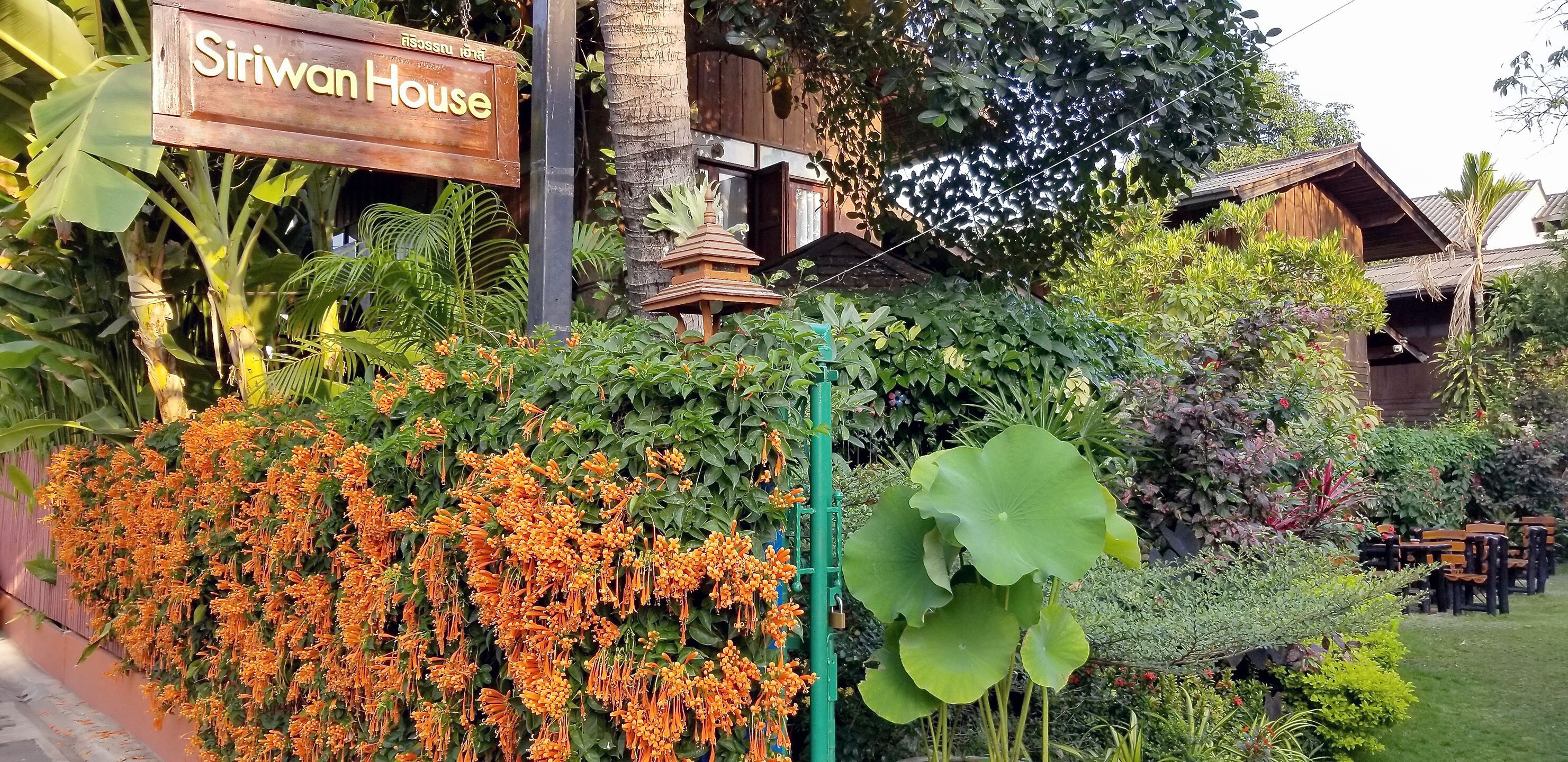 A sign for 'Siriwan House' amidst lush greenery and a traditional wooden structure.