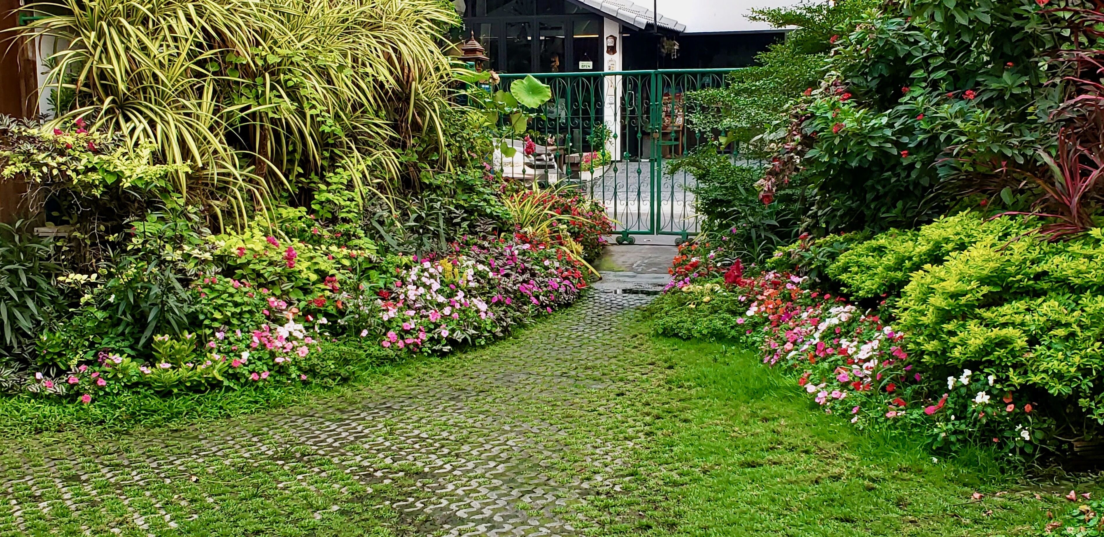 A garden pathway leading to a building with a green gate.