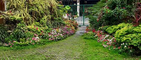 A garden pathway leading to a building with a green gate.