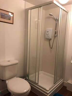 Un baño con ducha de vidrio, inodoro y un cuadro en la pared.