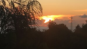 Atardecer con siluetas de palmeras y una vista distante del horizonte.